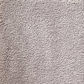 Wall-to-Wall Carpet Bentley 305 by Camel Carpet
