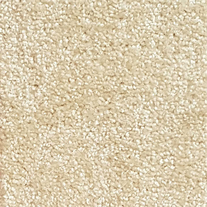 Wall-to-Wall Carpet Havana C03 by Camel Carpet