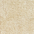 Wall-to-Wall Carpet Havana C03 by Camel Carpet