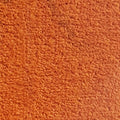 Wall-to-Wall Carpet Havana M771 by Camel Carpet
