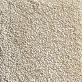 Wall-to-Wall Carpet Magnificus 30 by Camel Carpet