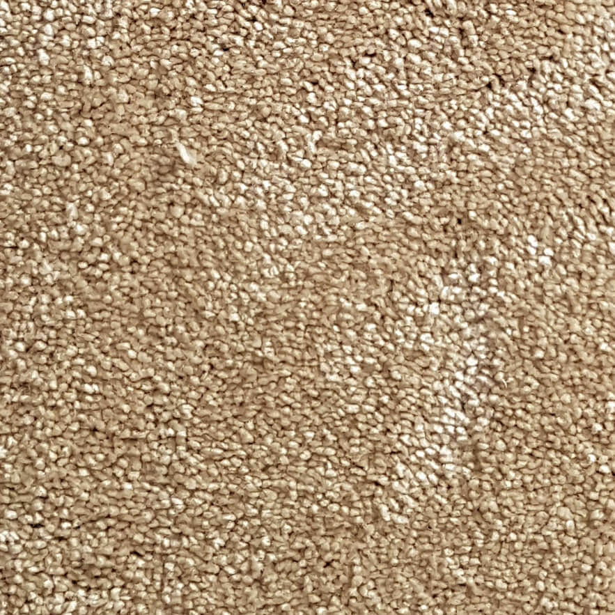 Wall-to-Wall Carpet Magnificus 35 by Camel Carpet