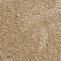 Wall-to-Wall Carpet Magnificus 35 by Camel Carpet