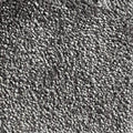 Wall-to-Wall Carpet Magnificus 97 by Camel Carpet