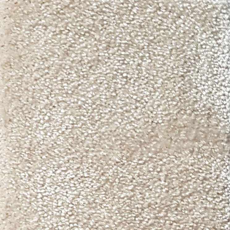 Wall-to-Wall Carpet Obsession 33 by Camel Carpet