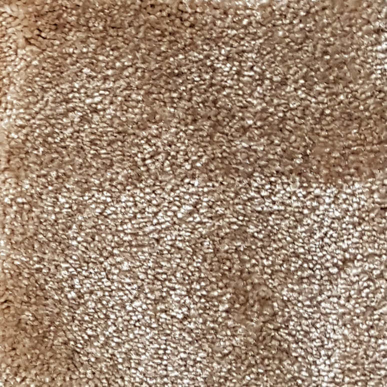 Wall-to-Wall Carpet Obsession 36 by Camel Carpet