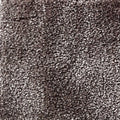 Wall-to-Wall Carpet Obsession 43 by Camel Carpet
