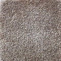 Wall-to-Wall Carpet Obsession 45 by Camel Carpet
