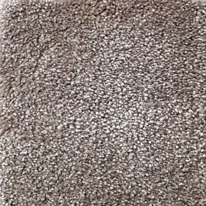 Wall-to-Wall Carpet Obsession 45 by Camel Carpet
