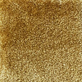 Wall-to-Wall Carpet Obsession 54 by Camel Carpet