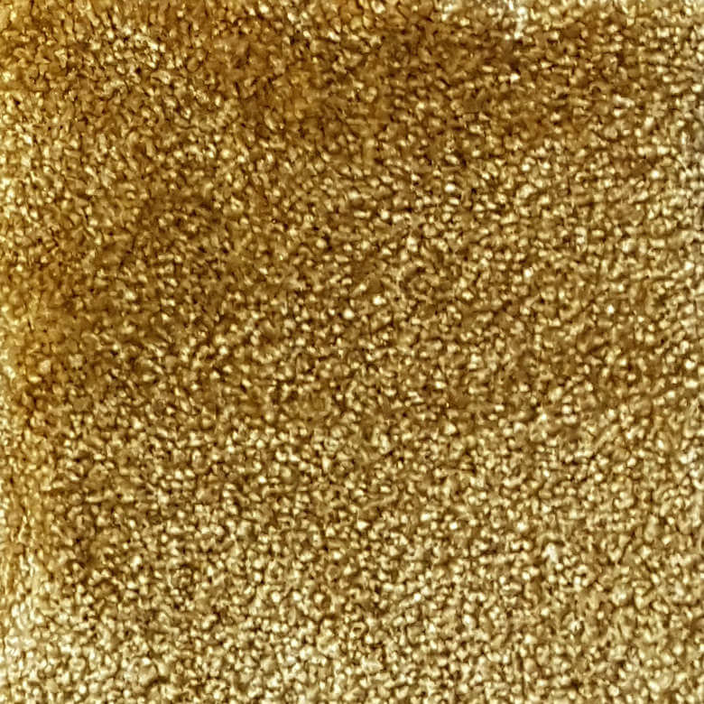 Wall-to-Wall Carpet Obsession 54 by Camel Carpet