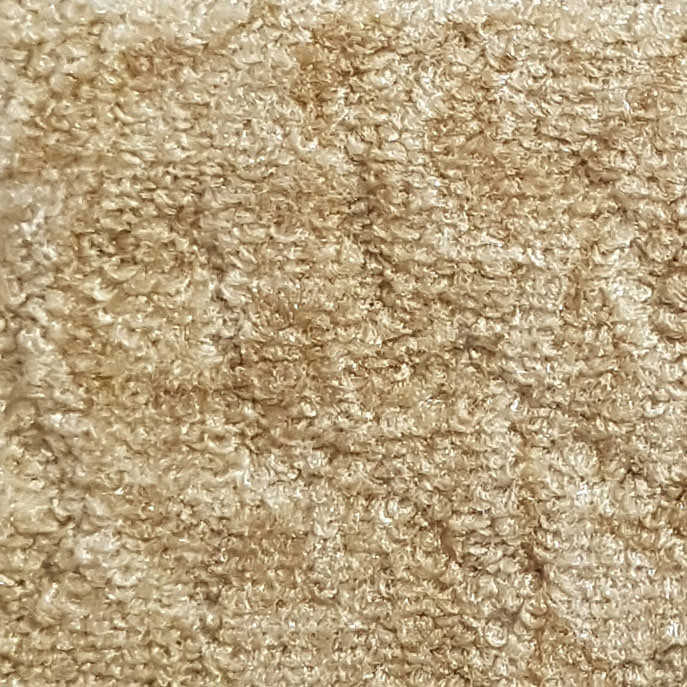 Wall-to-Wall Carpet Paris 32 by Camel Carpet