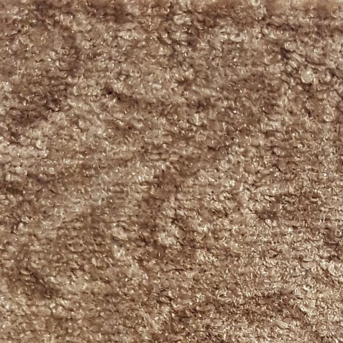 Wall-to-Wall Carpet Paris 40 by Camel Carpet
