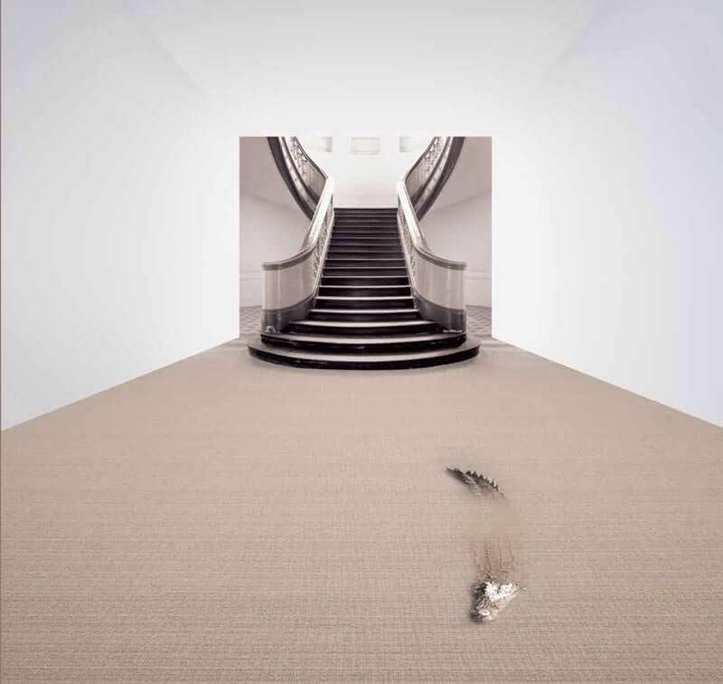 Wall-to-Wall Carpet Rockefeller Rf5-303 by Camel Carpet