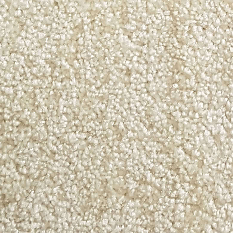 Wall-to-Wall Carpet Santa Barbara 03 by Camel Carpet