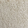 Wall-to-Wall Carpet Santa Barbara 05 by Camel Carpet