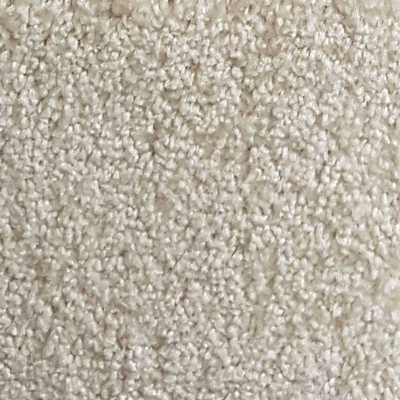 Wall-to-Wall Carpet Santa Barbara 05 by Camel Carpet