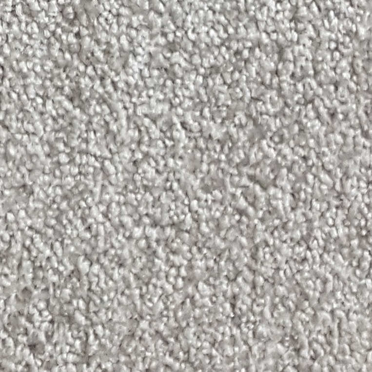 Wall-to-Wall Carpet Santa Barbara 09 by Camel Carpet