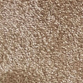 Wall-to-Wall Carpet Santa Barbara 34 by Camel Carpet
