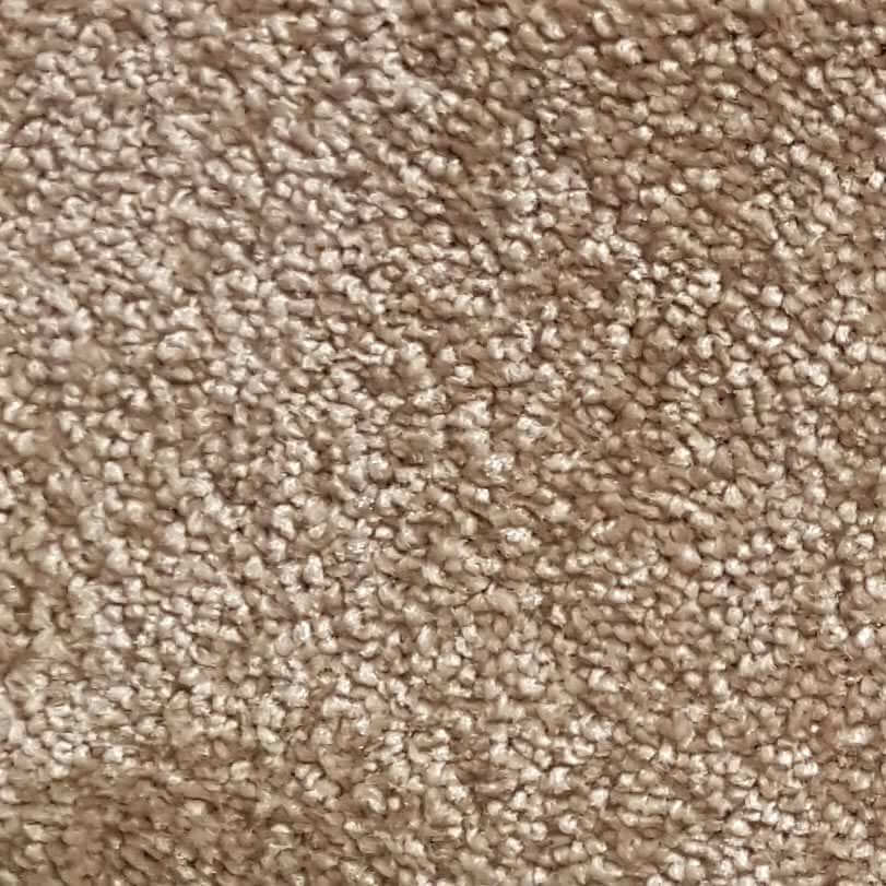 Wall-to-Wall Carpet Santa Barbara 34 by Camel Carpet
