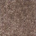 Wall-to-Wall Carpet Santa Barbara 39 by Camel Carpet