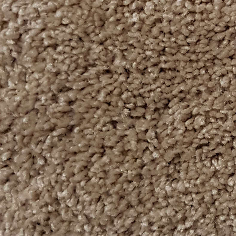 Wall-to-Wall Carpet Santa Fe 34 by Camel Carpet