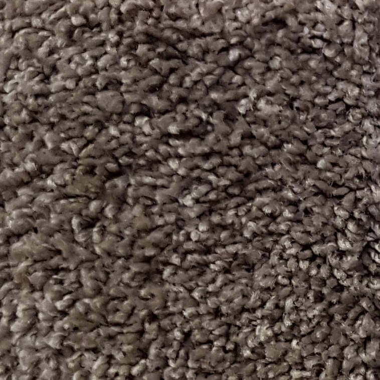 Wall-to-Wall Carpet Santa Fe 39 by Camel Carpet