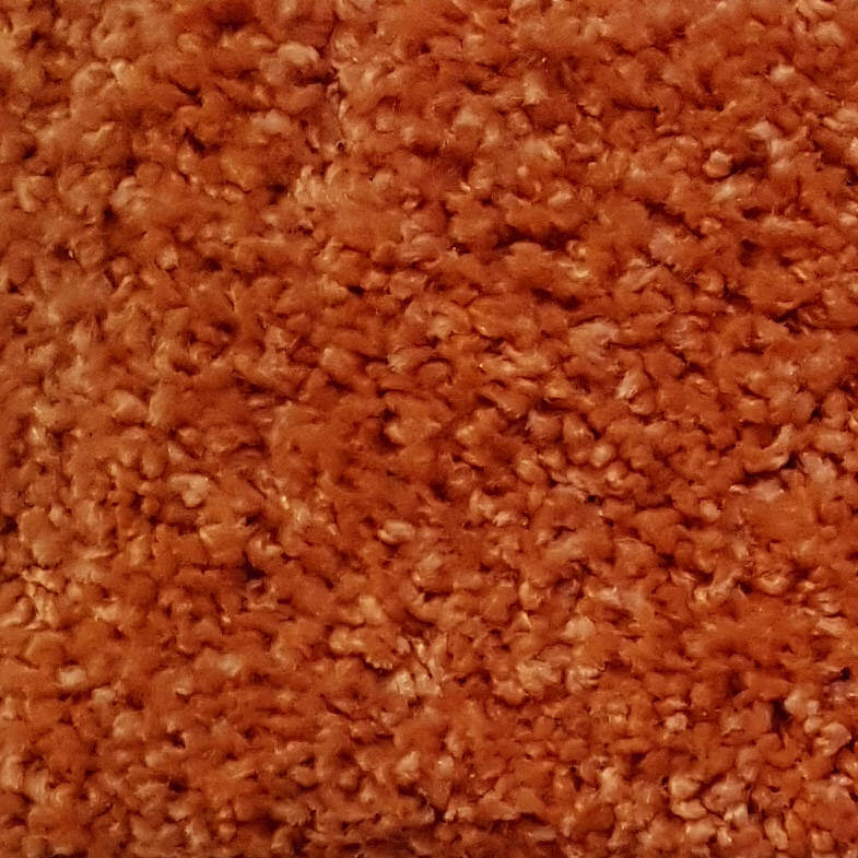 Wall-to-Wall Carpet Santa Fe 84 by Camel Carpet