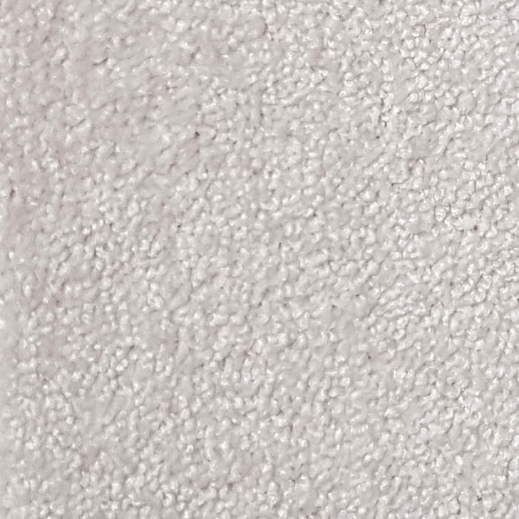 Wall-to-Wall Carpet Santa Monica 169 by Camel Carpet
