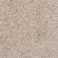 Wall-to-Wall Carpet Santa Monica 172 by Camel Carpet