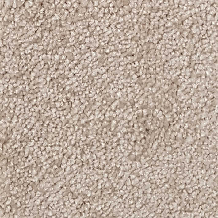 Wall-to-Wall Carpet Santa Monica 172 by Camel Carpet