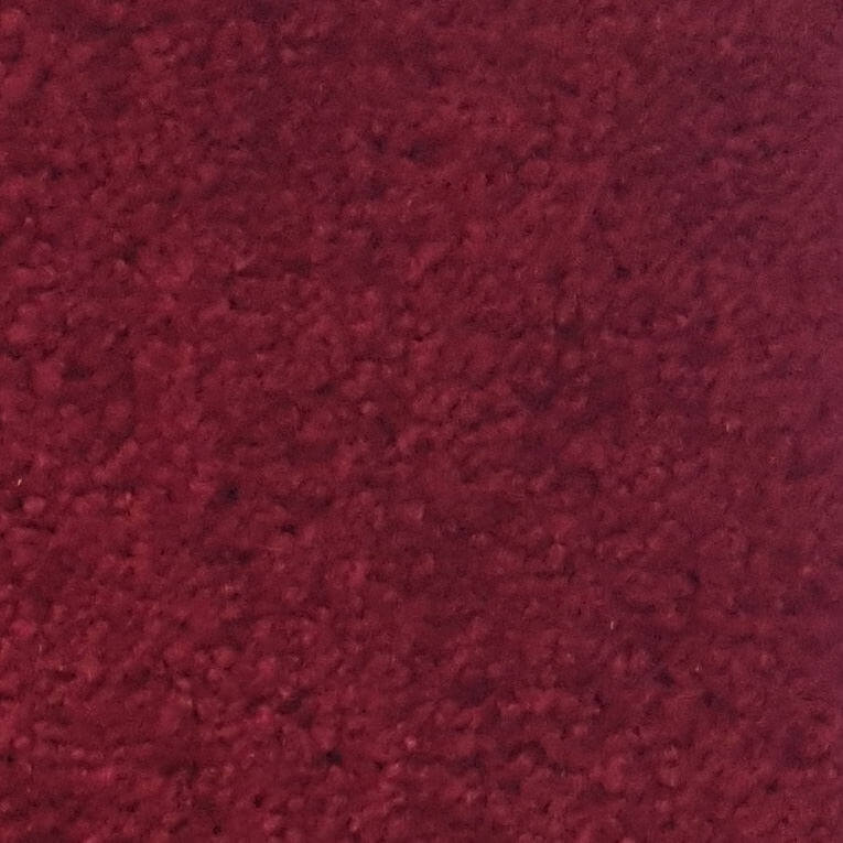 Wall-to-Wall Carpet Santa Monica 20 by Camel Carpet