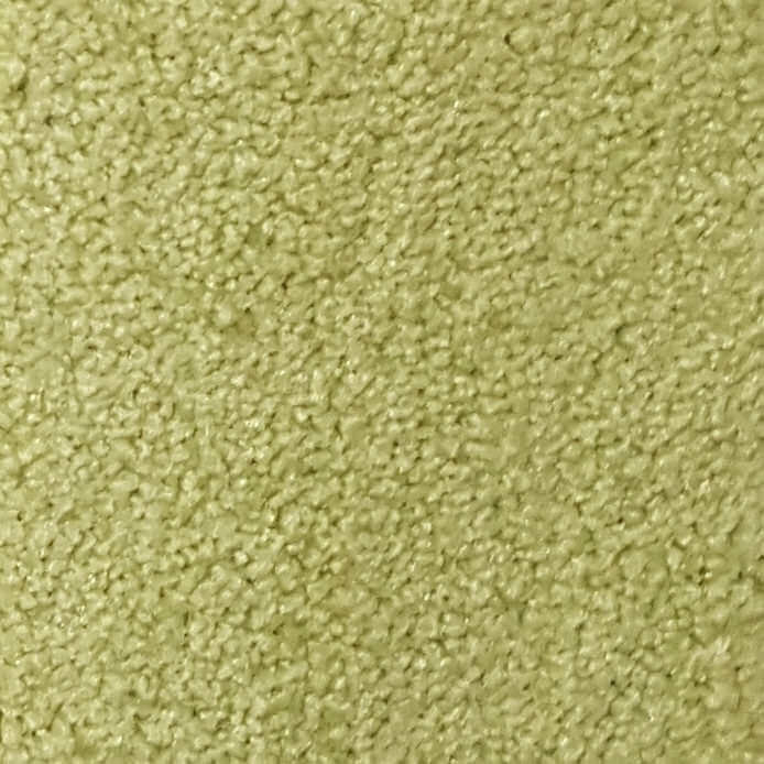Wall-to-Wall Carpet Santa Monica 41 by Camel Carpet