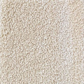 Wall-to-Wall Carpet Seduction 34 by Camel Carpet