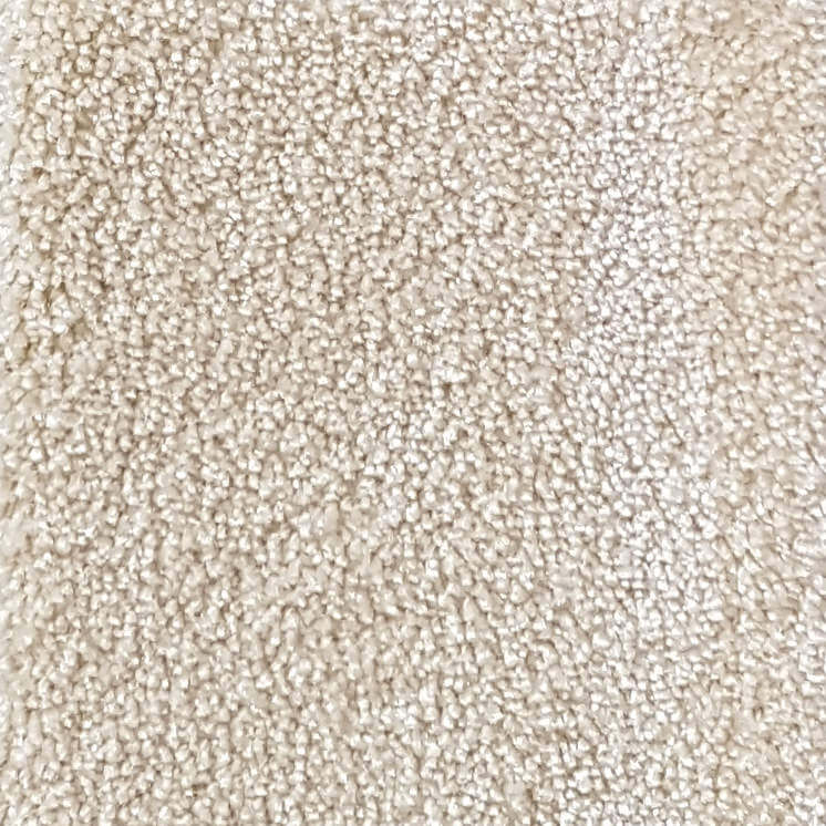 Wall-to-Wall Carpet Seduction 34 by Camel Carpet