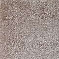 Wall-to-Wall Carpet Seduction 49 by Camel Carpet