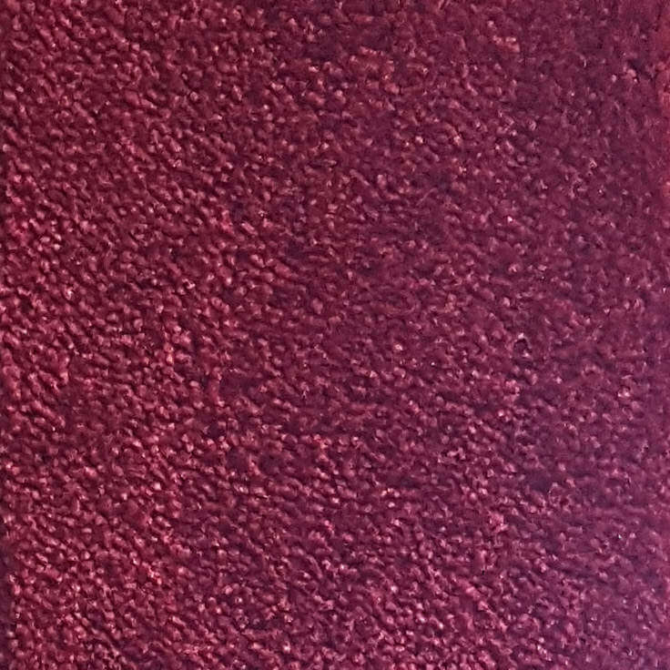 Wall-to-Wall Carpet Serenity 11 by Camel Carpet