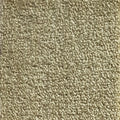 Wall-to-Wall Carpet Serenity 29 by Camel Carpet