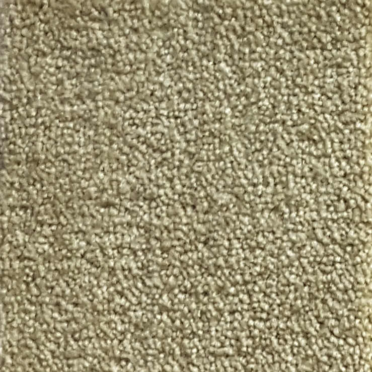 Wall-to-Wall Carpet Serenity 29 by Camel Carpet