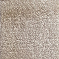 Wall-to-Wall Carpet Serenity 34 by Camel Carpet