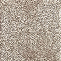 Wall-to-Wall Carpet Serenity 37 by Camel Carpet