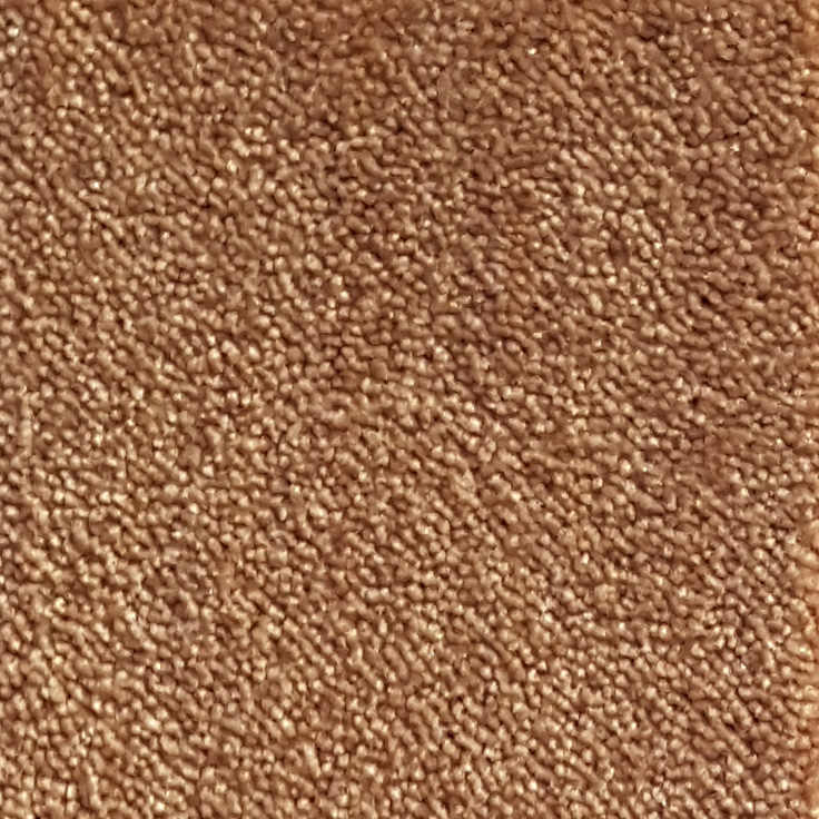 Wall-to-Wall Carpet Serenity 38 by Camel Carpet