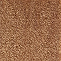 Wall-to-Wall Carpet Serenity 38 by Camel Carpet